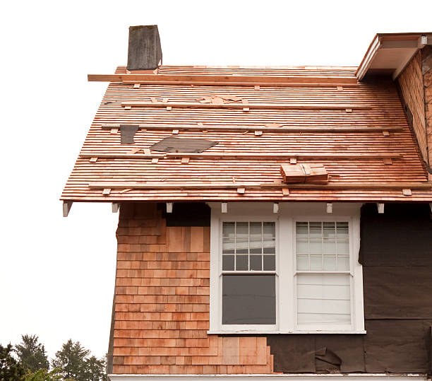 Affordable Siding Repair and Maintenance Services in Monroe, NC